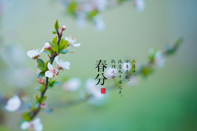 春分节气的含义是什么
