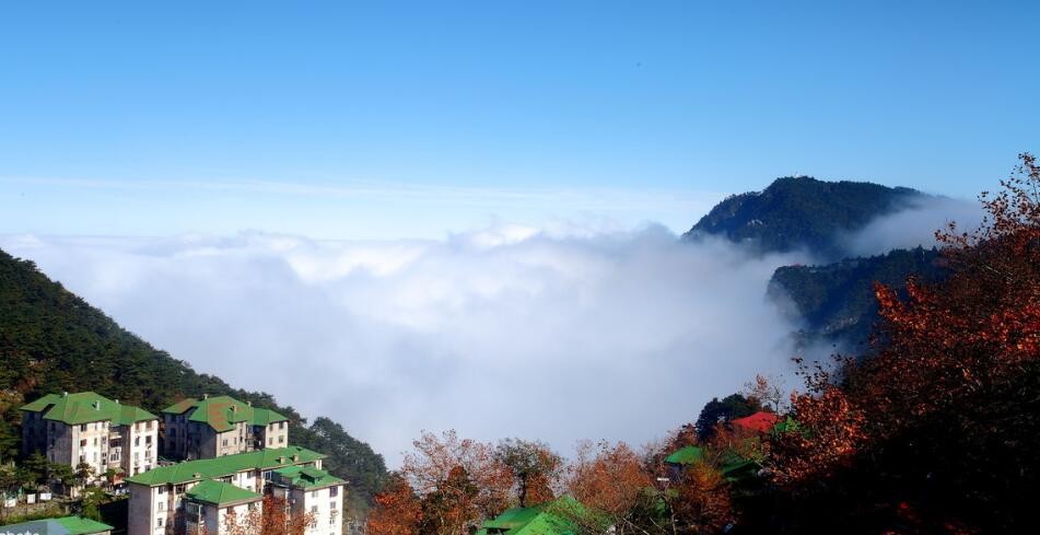 不识庐山真面目只缘身在此山中的意思是什么