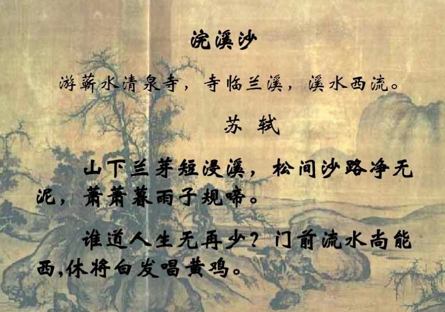 《浣溪沙》苏轼的译文是什么