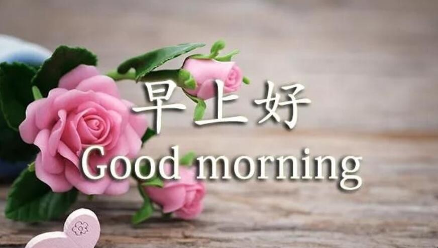 早安问候语正能量的有哪些