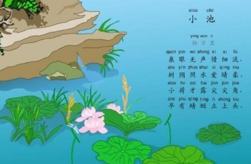 《小池》这首诗描写的是什么地方的景色