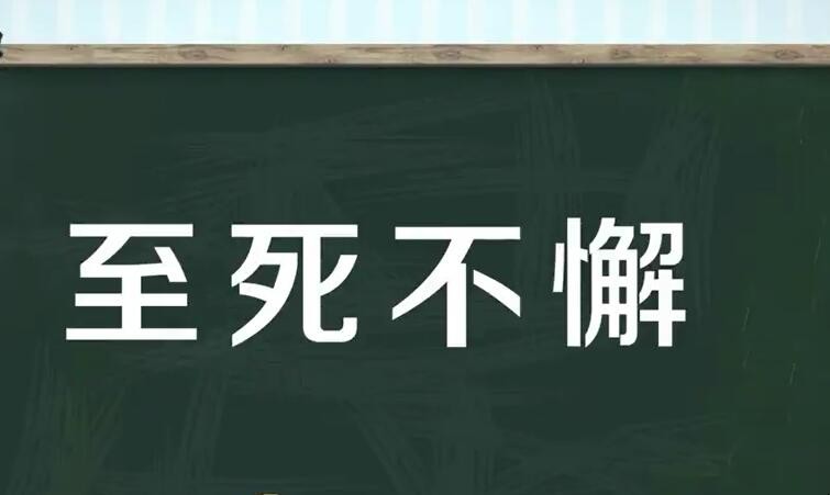 至死不懈怎么造句