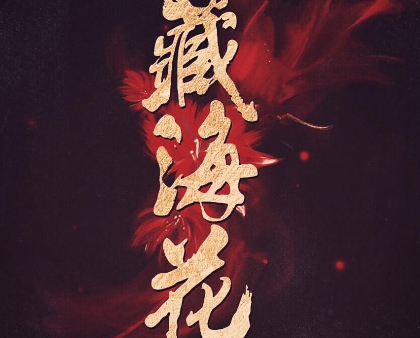 《藏海花》讲的是什么