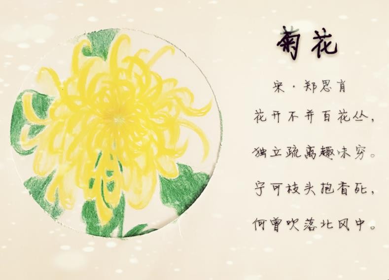 《菊花》古诗原文是什么