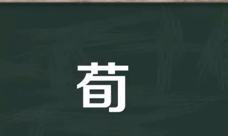 荀的组词有哪些