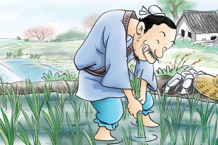 北人食菱告诉我们什么道理