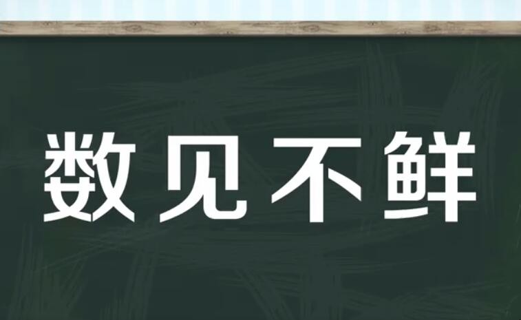 数见不鲜是什么意思