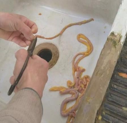 鸡肠怎么清洗
