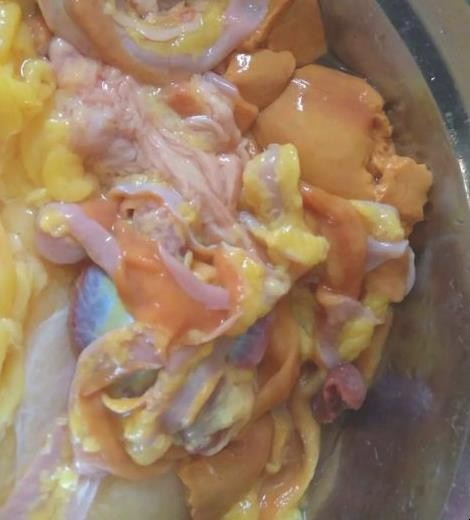 鸡肠怎么清洗