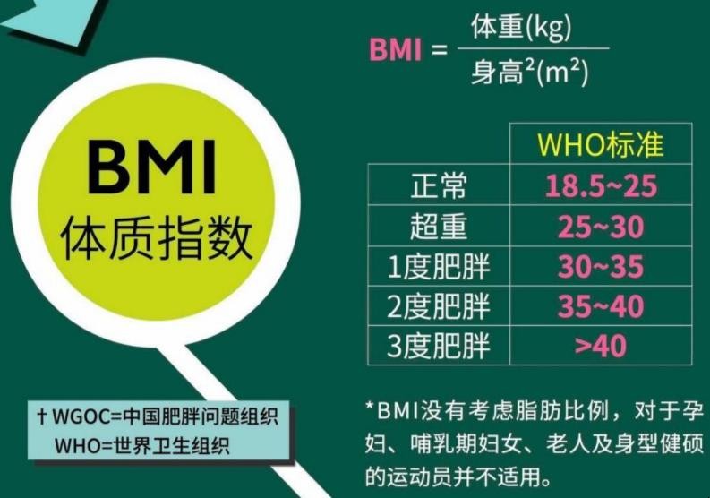 bmi是什么意思