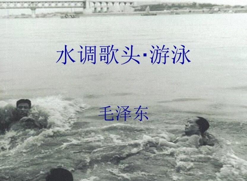 《水调歌头·游泳》中的一桥是指什么桥