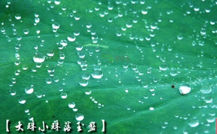 大珠小珠落玉盘上一句是什么