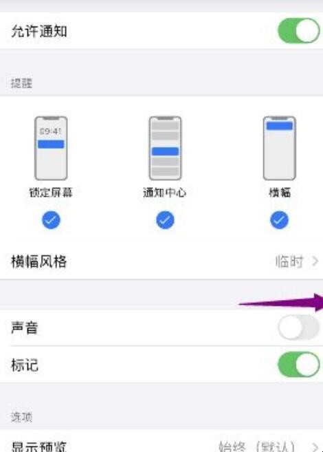 苹果手机微信没有声音怎么回事