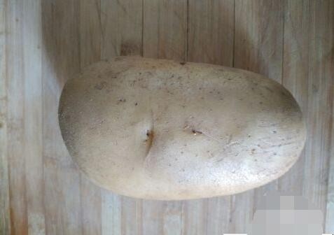 土豆切块怎么切