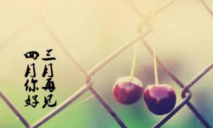 描写四月的唯美句子有哪些