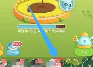 拼多多怎么删除好友