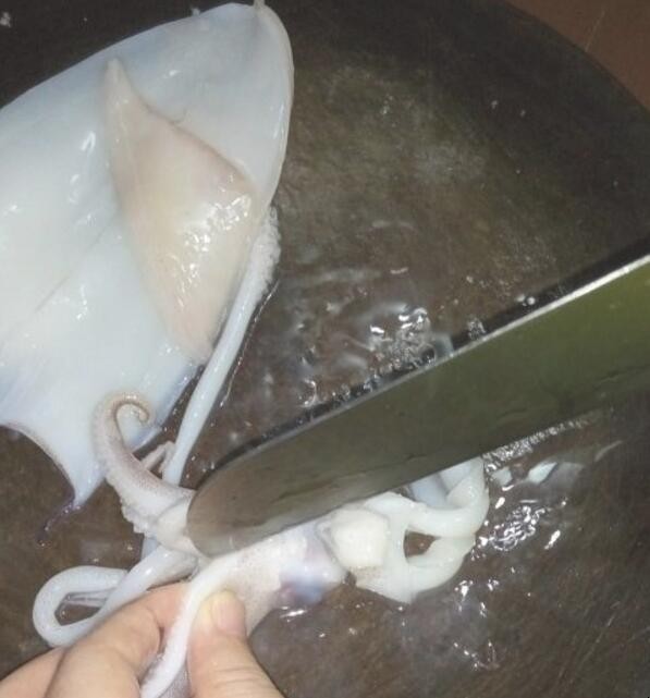鱿鱼怎么切
