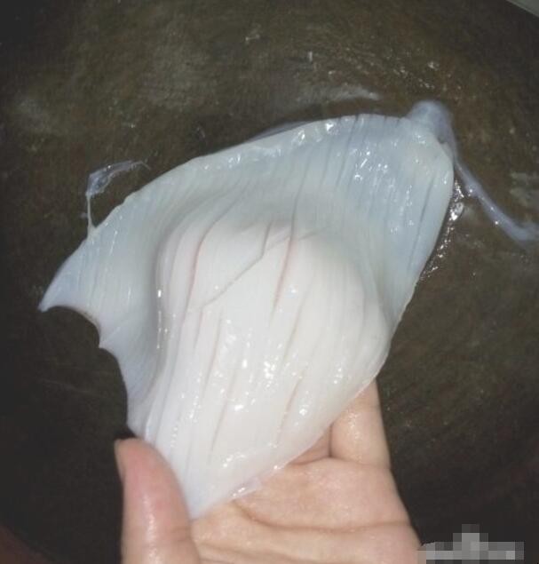 鱿鱼怎么切