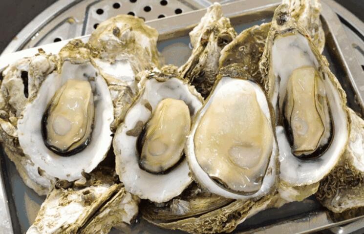 海蛎子冷藏还是冷冻