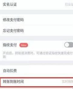 微信延时到账怎么设置