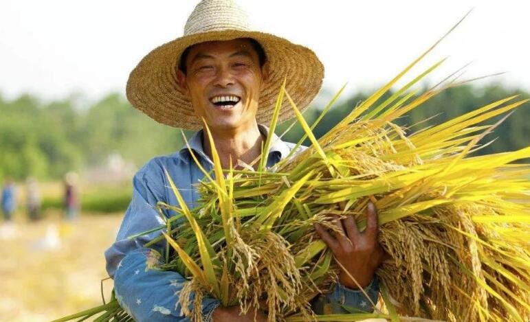 丰收节是几月几日