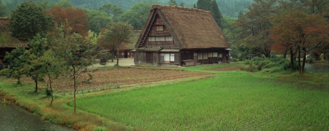 关于乡村田园的资料 关于乡村田园的内容资料