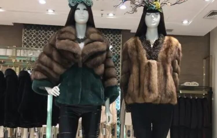 貂皮大衣怎么洗