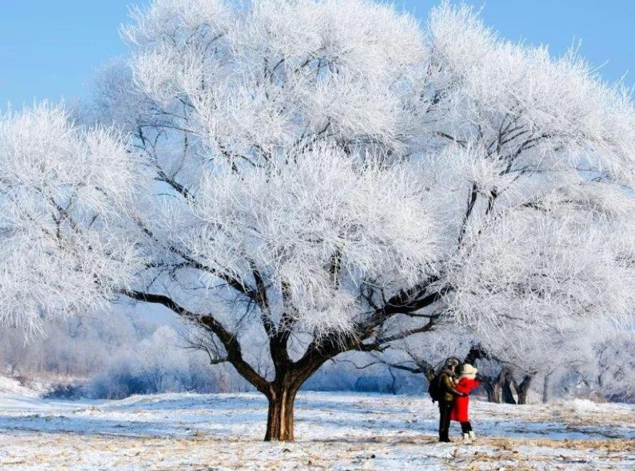 雪的形成过程是什么