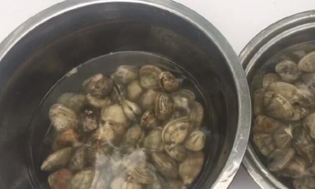 花蛤怎么洗才干净