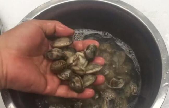 花蛤怎么洗才干净