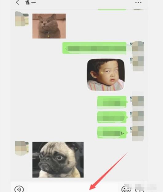 微信摇骰子在哪