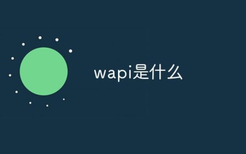 wapi是什么东西