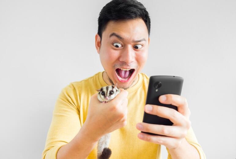 微信发送好友申请历史怎么看