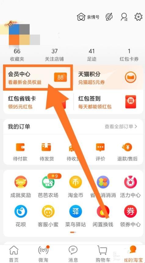 怎么查看淘气值