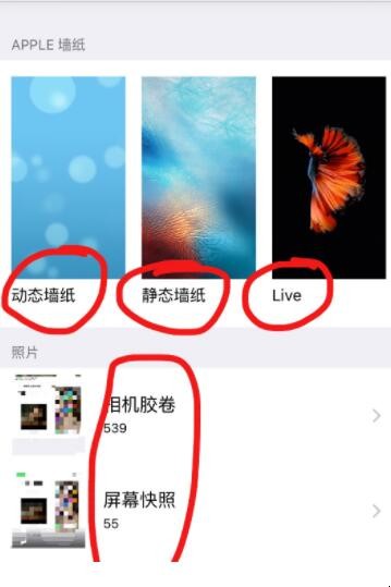 ios动态壁纸怎么设置