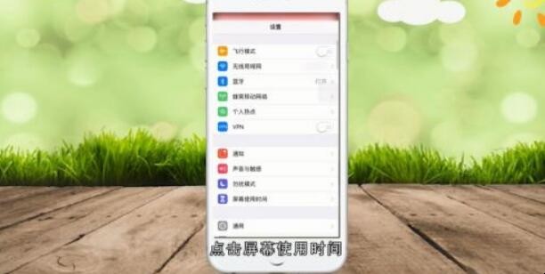 苹果手机访问限制在哪里
