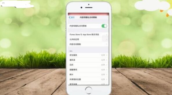 苹果手机访问限制在哪里