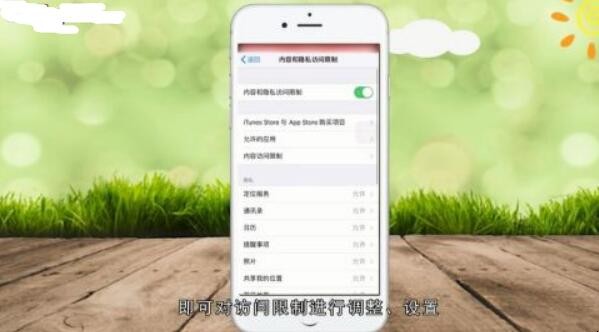苹果手机访问限制在哪里