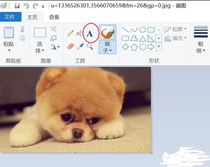 如何制作自己喜欢的壁纸