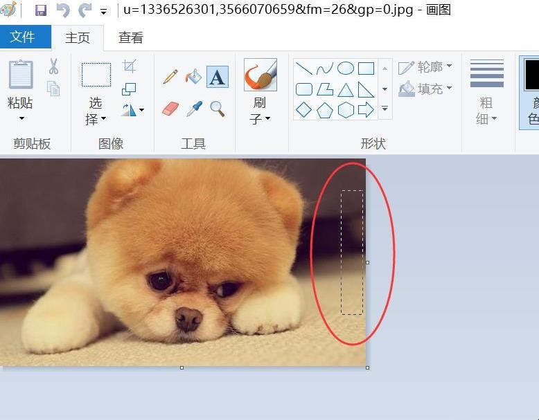 如何制作自己喜欢的壁纸