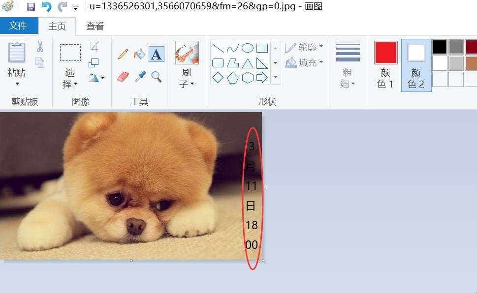如何制作自己喜欢的壁纸