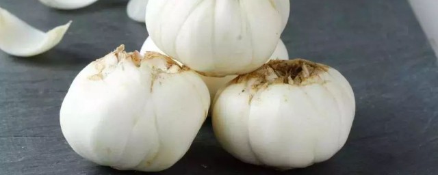 怎样储存百合 食用百合家常保存方法分享