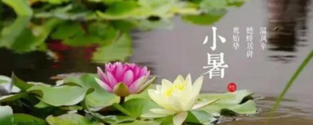 小暑天该如何养生 小暑天该怎么养生