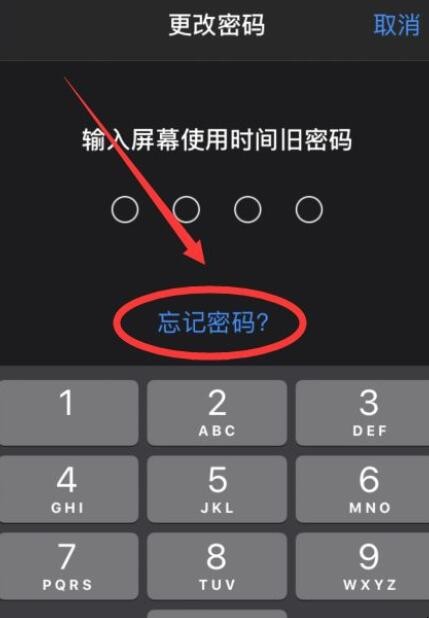 ipad屏幕使用时间密码忘了怎么办
