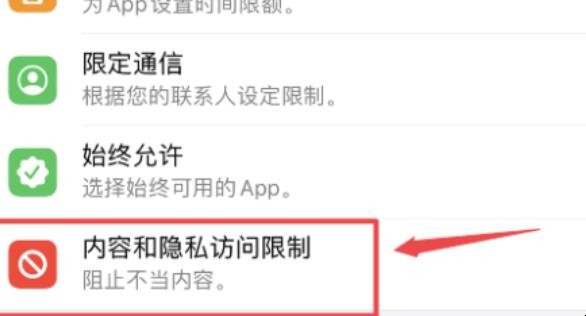 iphone访问限制在哪