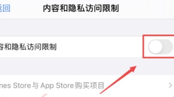 iphone访问限制在哪