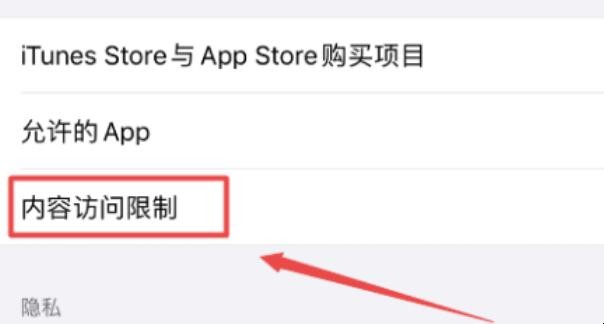 iphone访问限制在哪