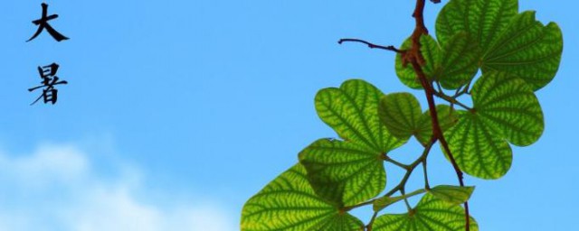 大暑热怎么去避暑 大暑节气的避暑技巧