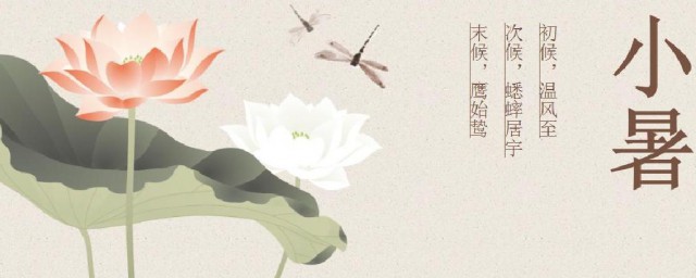 今天小暑怎么发朋友圈 适合小暑发朋友圈的说说分享