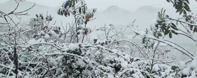 风雪载途的意思 风雪载途造句